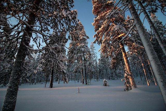 Forêts, collines, rivières et lacs : Aventures sous le ciel des aurores Voyage Aventures sous le ciel des aurores