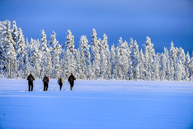 Forêts, collines, rivières et lacs : Aventures sous le ciel des aurores Voyage Aventures sous le ciel des aurores