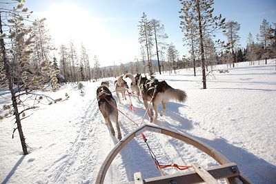 Multi-activités Laponie finlandaise