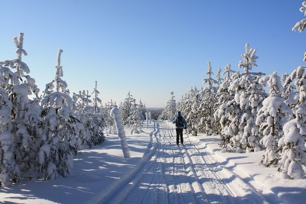 Ski de fond