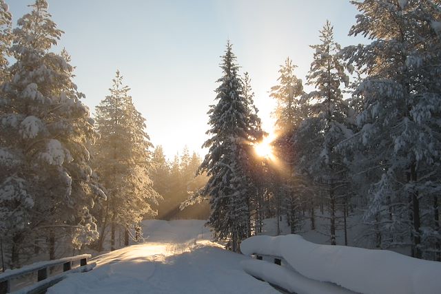 Ski de fond : Ski de fond au cœur de la forêt boréale Voyage Ski de fond au cœur de la forêt boréale