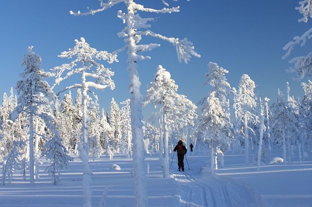 Ski de fond : Ski de fond au cœur de la forêt boréale Voyage Ski de fond au cœur de la forêt boréale