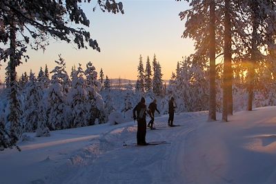 Ski de fond Finlande