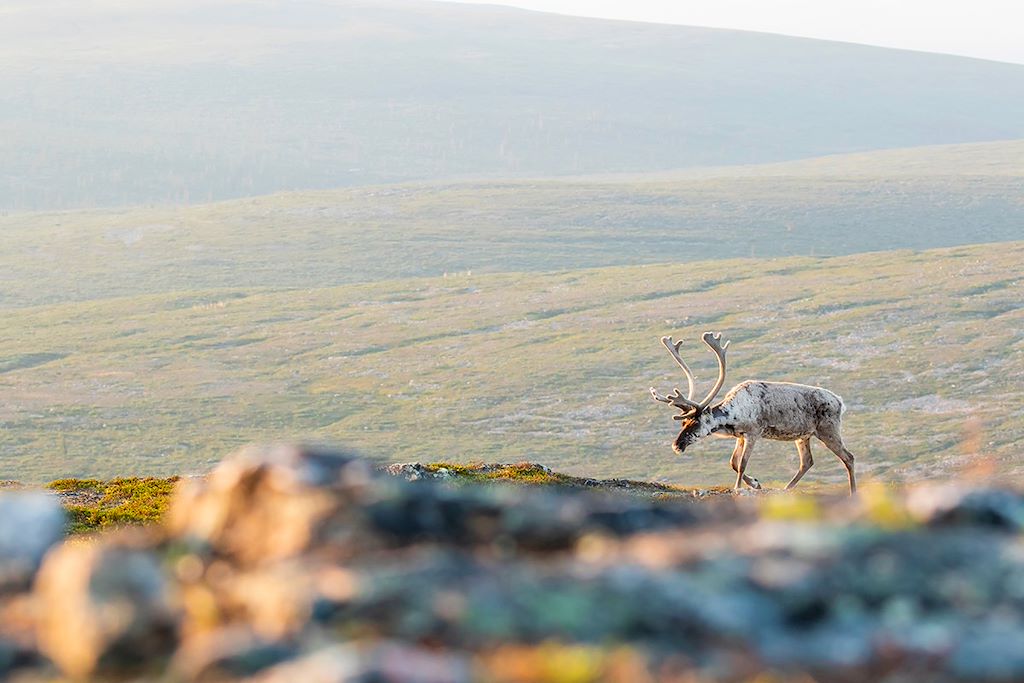 Voyage Finlande