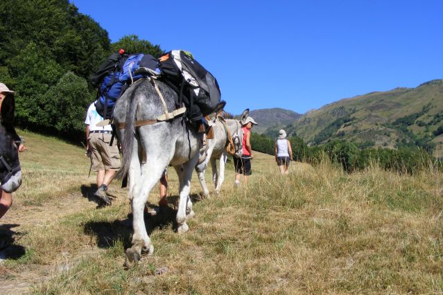 Voyage Itinérance en Ariège avec des ânes 3