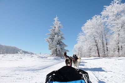 Voyage  Massif Central