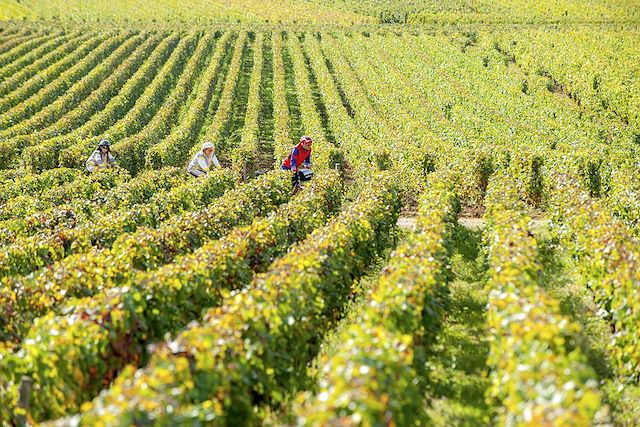 Voyage Le tour de Bourgogne à vélo, de Chalon à Mâcon