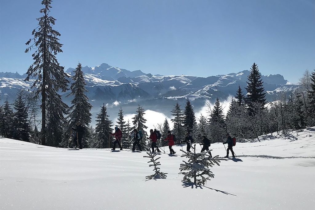 Voyage Plaisirs neige à Sixt-Fer-à-Cheval 1