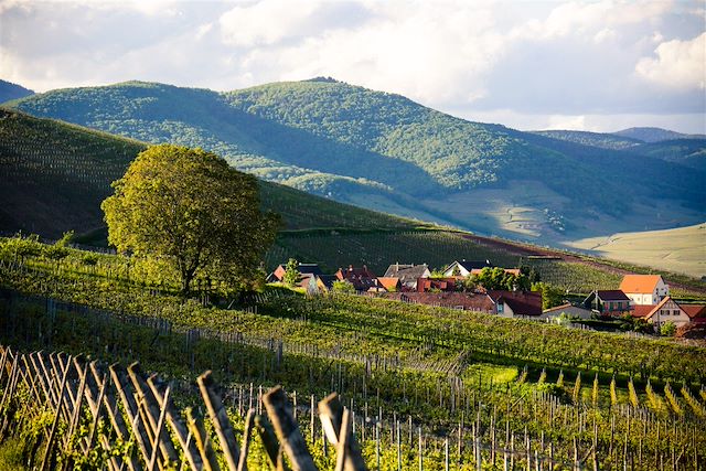 Voyage La route des vins d'Alsace à vélo électrique
