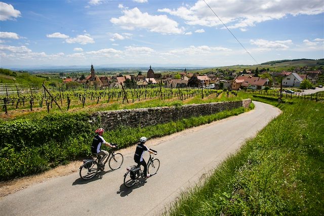 Patrimoine et Nature : La route des vins d'Alsace à vélo électrique Voyage La route des vins d'Alsace à vélo électrique