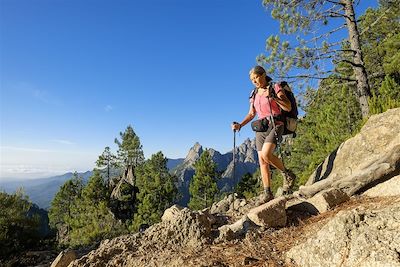 Trek Corse