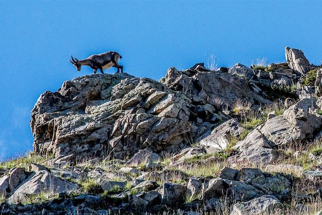 Voyage Les lacs et sommets de l'Ubaye