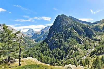 Voyage  Alpes du Sud