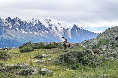 Randonnée Alpes du Nord