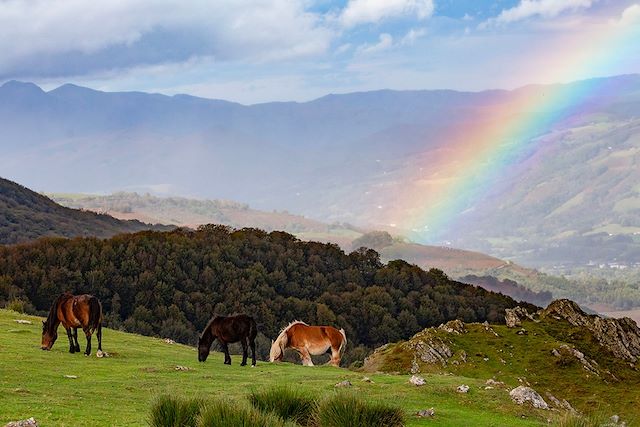 Voyage Les villages du Pays Basque à vélo électrique