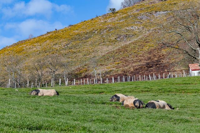 Voyage Les beautés du Pays basque à vélo électrique