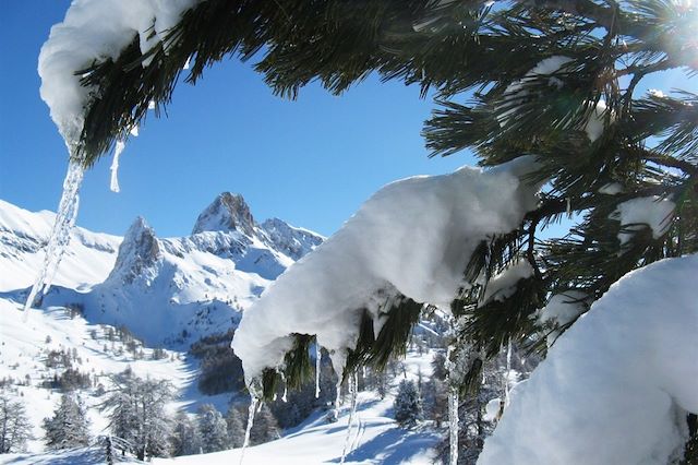 Raquette : Magie d'une fin d'année dans le Queyras Voyage Magie d'une fin d'année dans le Queyras
