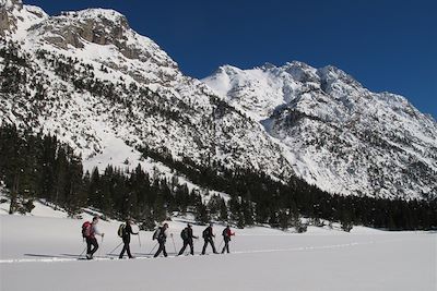 Voyage  Alpes du Sud