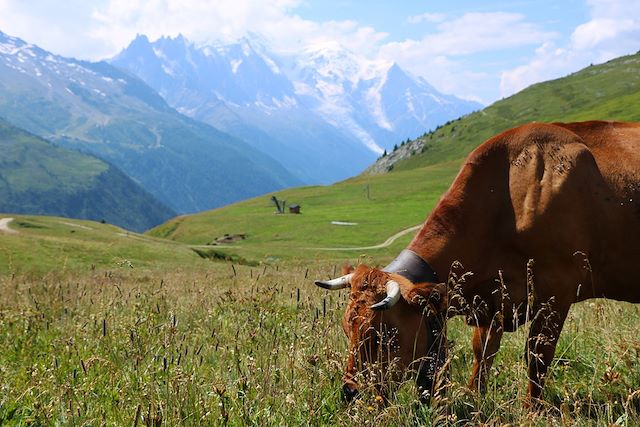 Trek : Le tour du Mont-Blanc (7 étapes) Voyage Le tour du Mont-Blanc (7 étapes)