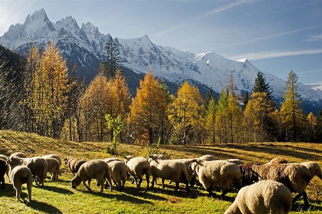 Voyage Tour du Mont-Blanc (9 étapes)