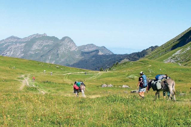 Randonnée avec âne : Balade avec un âne entre Léman et Mont-Blanc Voyage Balade avec un âne entre Léman et Mont-Blanc
