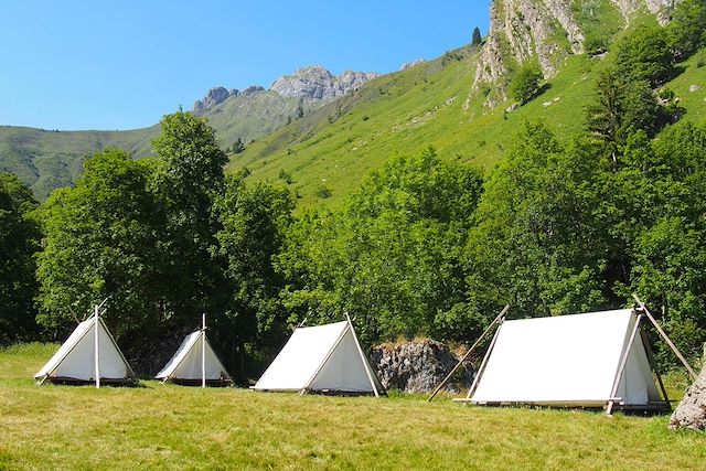 Randonnée avec âne : Balade avec un âne entre Léman et Mont-Blanc Voyage Balade avec un âne entre Léman et Mont-Blanc