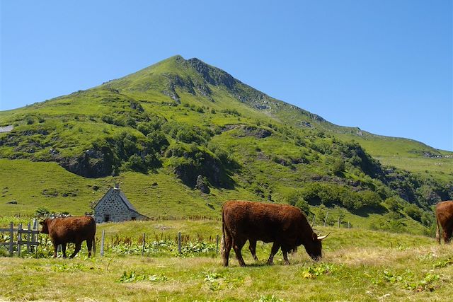 Randonnée avec âne : Les volcans du Cantal avec un âne Voyage Les volcans du Cantal avec un âne