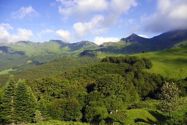 Randonnée avec âne : Les volcans du Cantal avec un âne Voyage Les volcans du Cantal avec un âne