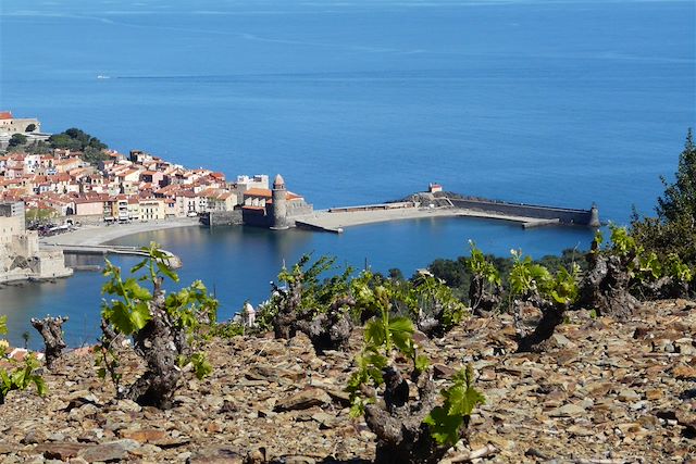 Voyage De Collioure à Cadaqués en VTT électrique