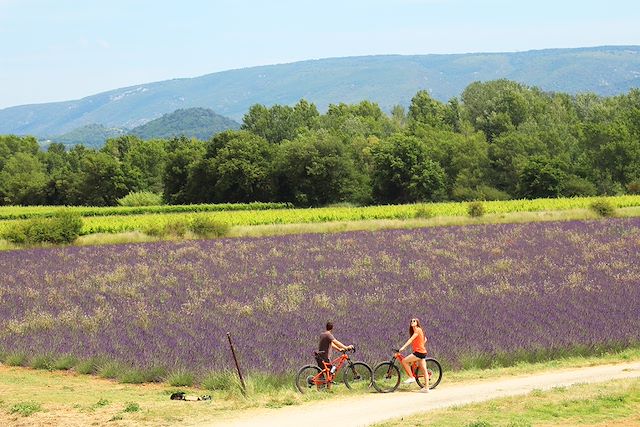 Patrimoine et Nature : Escapade au cœur Luberon en vélo électrique Voyage Escapade au cœur Luberon en vélo électrique