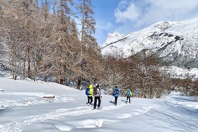 Voyage  Alpes du Sud