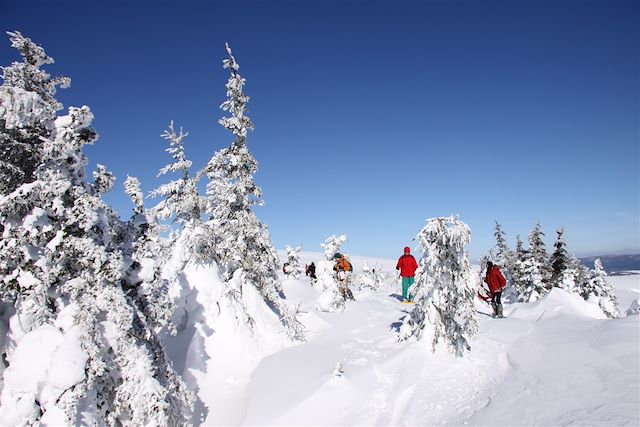 Neige : Raquettes sportives à Bagnols-les-Bains Voyage Raquettes sportives à Bagnols-les-Bains