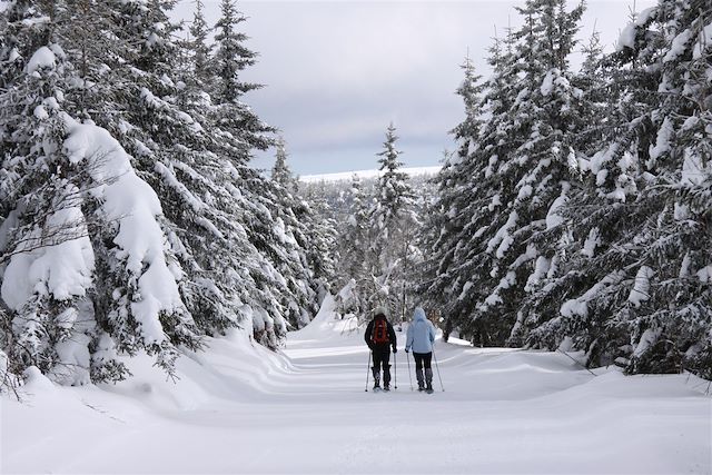 Neige : Raquettes sportives à Bagnols-les-Bains Voyage Raquettes sportives à Bagnols-les-Bains