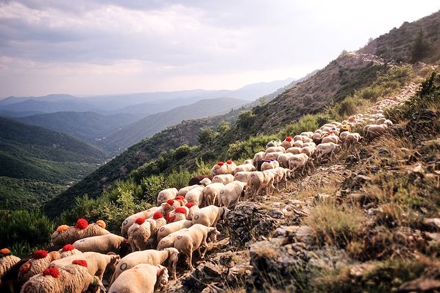Voyage L'étoile des Cévennes
