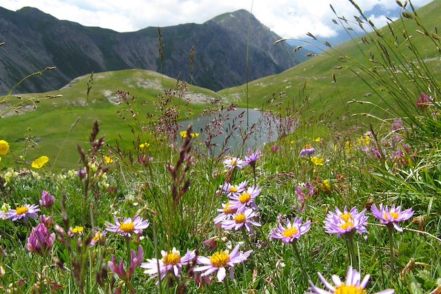 Voyage GTA, de Modane à Larche par le GR5 (étape 3)