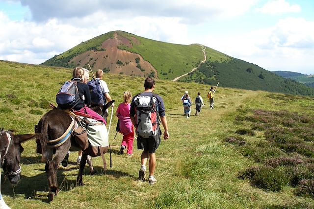 Randonnée avec âne : Rando âne près des volcans d'Auvergne en été Voyage Rando âne près des volcans d'Auvergne en été