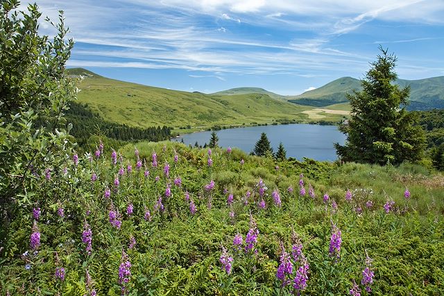 Randonnée avec âne : Rando âne près des volcans d'Auvergne en été Voyage Rando âne près des volcans d'Auvergne en été