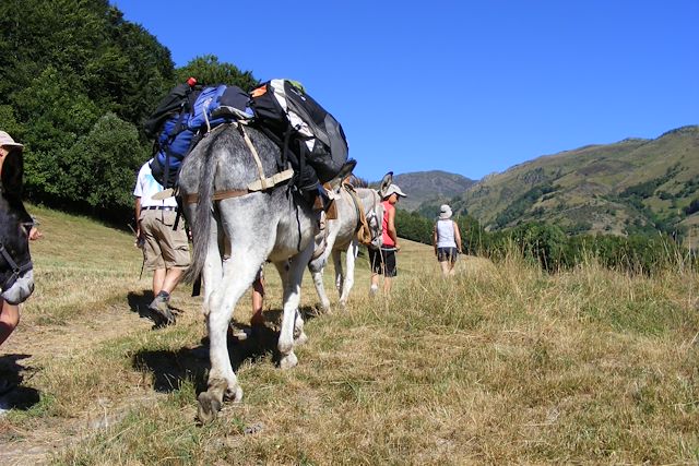 Voyage Au cœur des montagnes Ariégeoises avec un âne