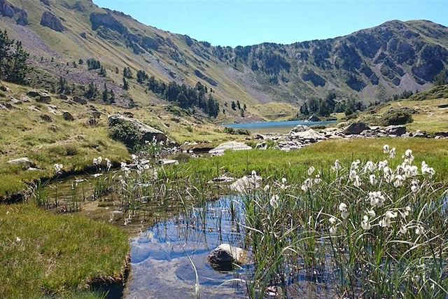 Voyage : Les Pyrénées grandeur nature Voyage Les Pyrénées grandeur nature