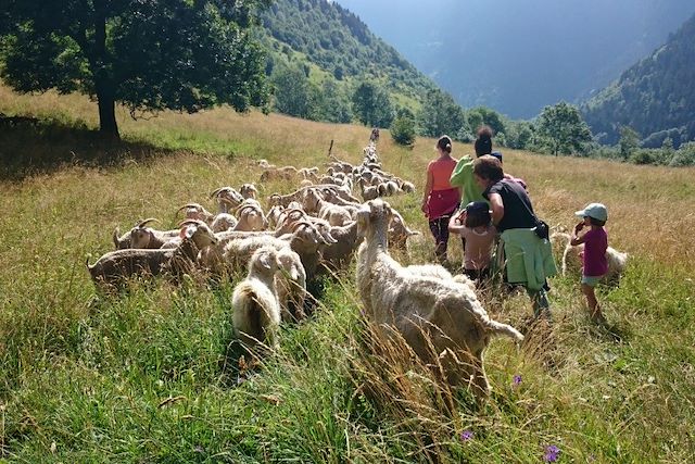 Voyage : Les Pyrénées grandeur nature Voyage Les Pyrénées grandeur nature