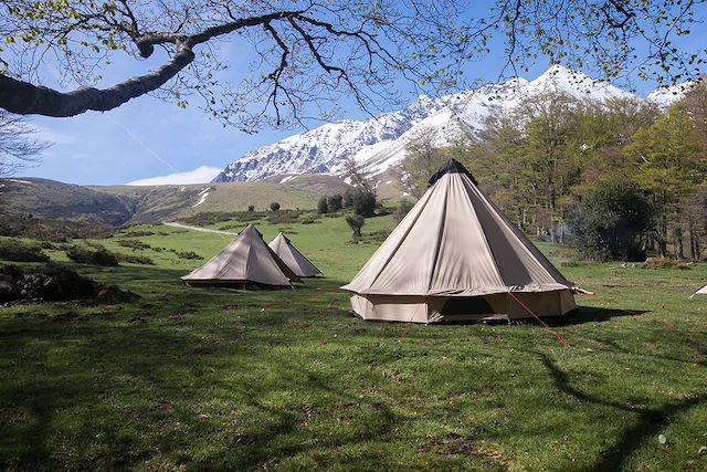 Voyage : L'appel de la forêt en Hautes Pyrénées Voyage L'appel de la forêt en Hautes Pyrénées