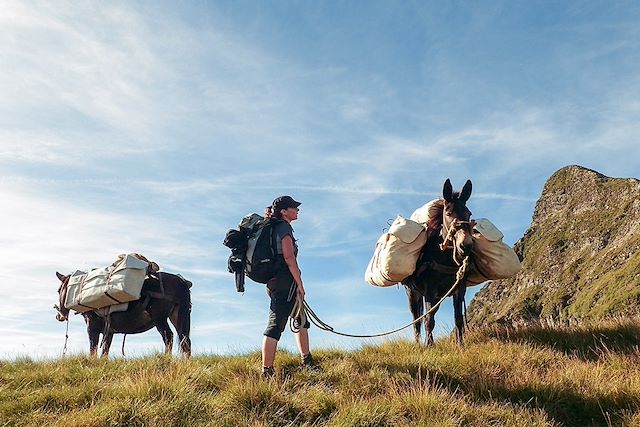 Voyage : L'appel de la forêt en Hautes Pyrénées Voyage L'appel de la forêt en Hautes Pyrénées