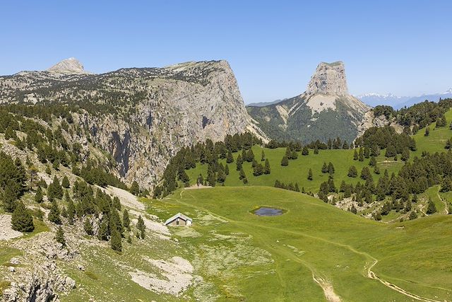 Voyage Les loups des hauts plateaux du Vercors