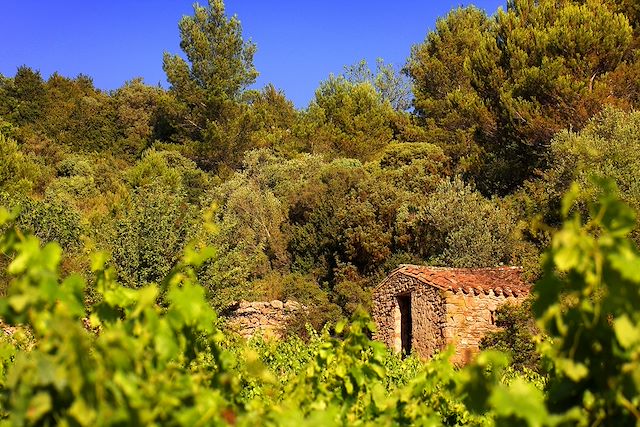Patrimoine et Nature : Randonnée au cœur du Pays Cathare Voyage Randonnée au cœur du Pays Cathare