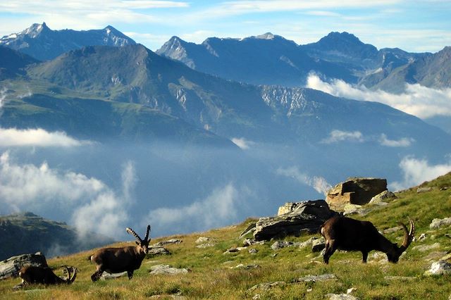 Voyage GTA, de Chamonix à Modane par le GR5 (étape 2)
