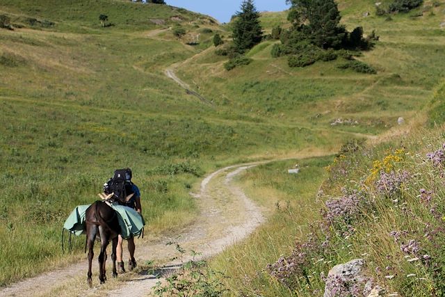 Voyage : Les Pyrénées cathares avec un âne Voyage Les Pyrénées cathares avec un âne