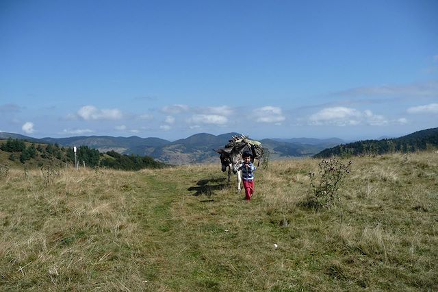 Voyage : Les Pyrénées cathares avec un âne Voyage Les Pyrénées cathares avec un âne