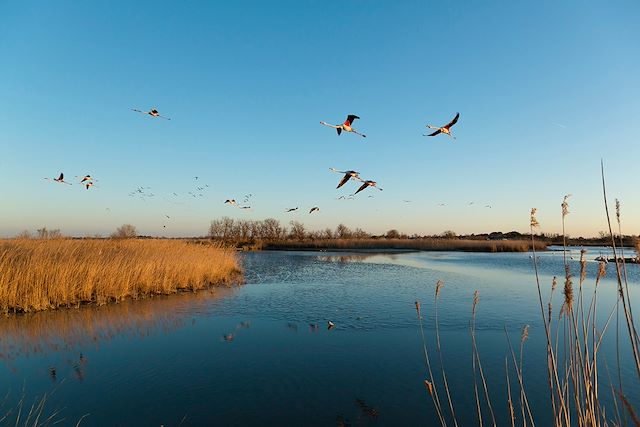Bord de mer et îles : Escapade en Camargue à vélo d'Arles à Sète Voyage Escapade en Camargue à vélo d'Arles à Sète