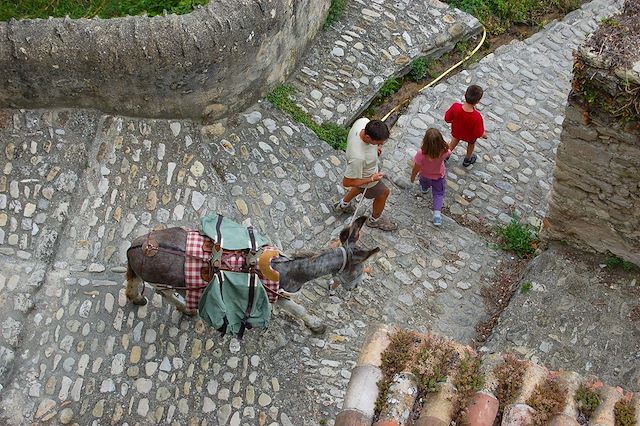 Voyage Le Vercors au pas de l'âne