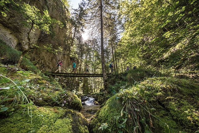 Parc naturel régional du Vercors : Nature et histoire des sentiers du Vercors Voyage Nature et histoire des sentiers du Vercors